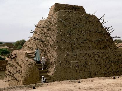 Tombe de Askia Mohamed : www.shenoc.com